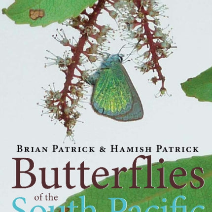 Butterflies of the South Pacific