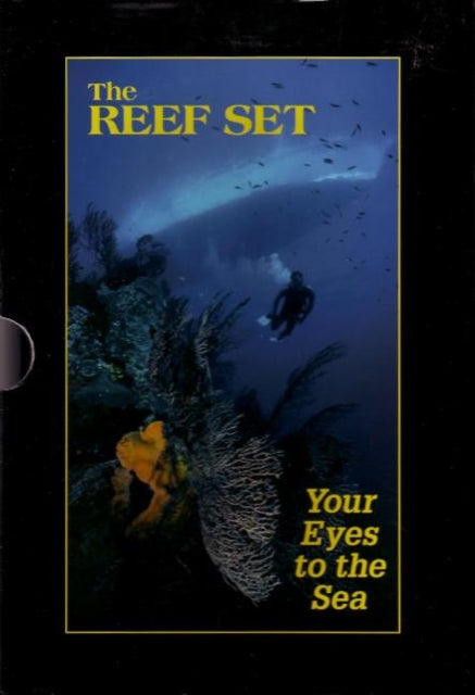 Reef Set: Your Eyes to the Sea