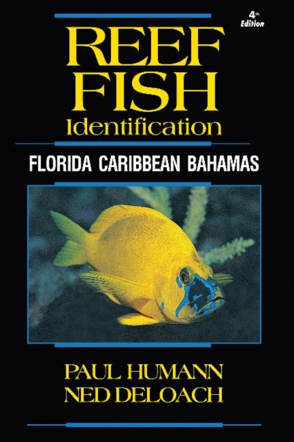 Reef Fish Identification: Florida Caribbean Bahamas