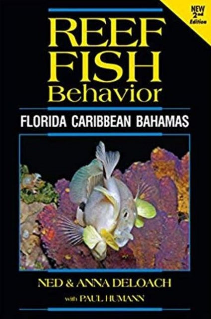 Reef Fish Behavior: Florida Caribbean Bahamas