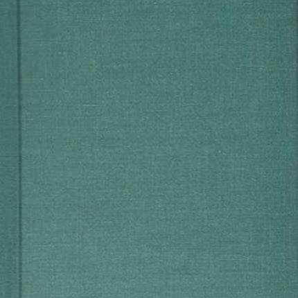 Theoretical Perspectives on Word Order in South