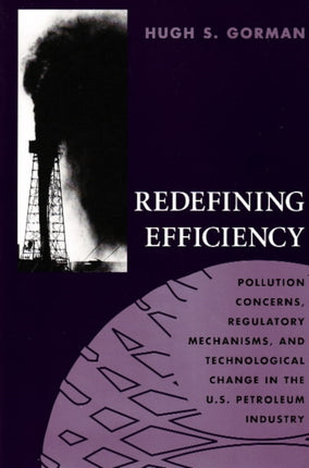 Redefining Efficiency: Pollution Concerns,