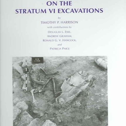 Megiddo 3: Final Report on the Stratum VI Excavations