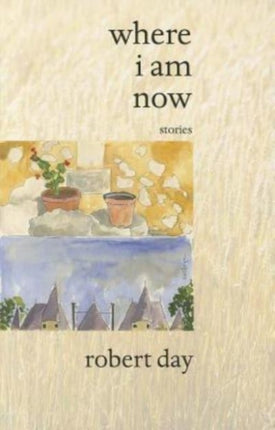 Where I Am Now: stories
