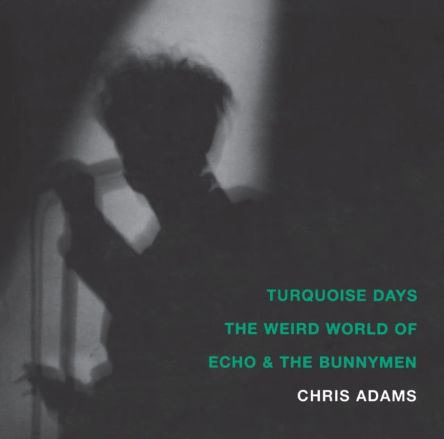 Turquoise Days: The Weird World of Echo and the Bunnymen