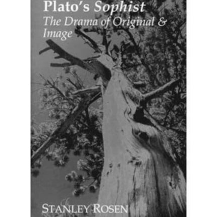 Plato`s Sophist