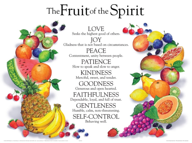 Fruit of the Spirit Wall Chart-Laminated