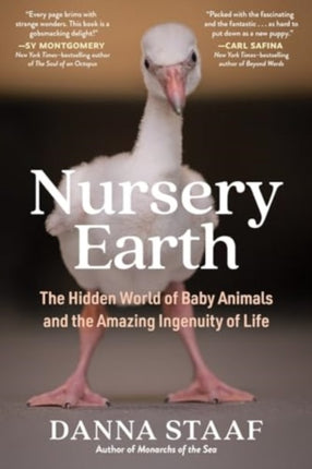 Nursery Earth