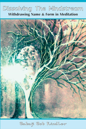 Dissolving the Mindstream: Withdrawing Name & Form in Meditation