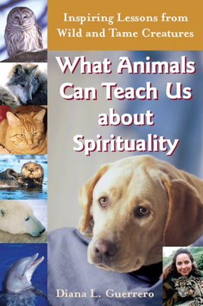 What Animals Can Teach Us About Spirituality: