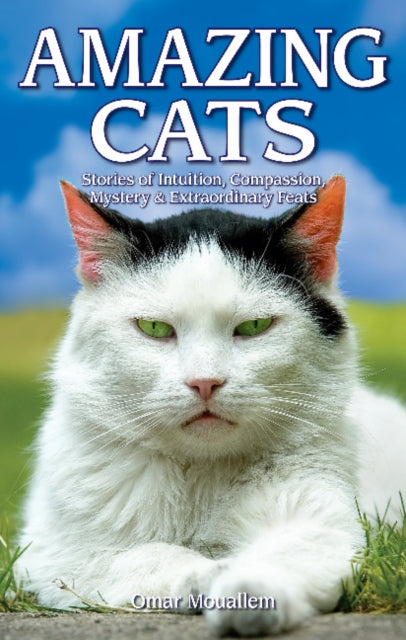 Amazing Cats: Stories of Intuition, Compassion, Mystery & Extraordinary Feats