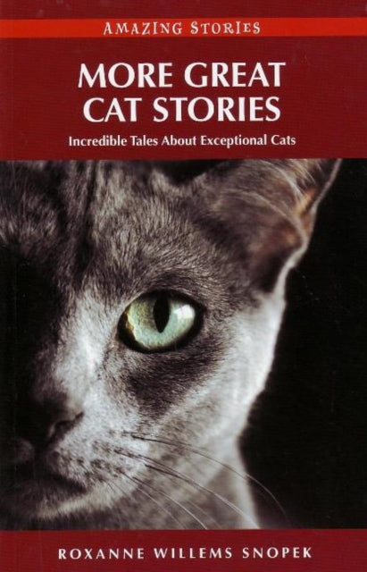 More Great Cat Stories: Incredible Tales About Exceptional Cats