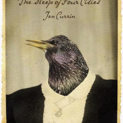 Sleep of Four Cities, The