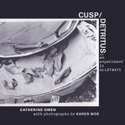 Cusp/detritus: an experiment in alleyways