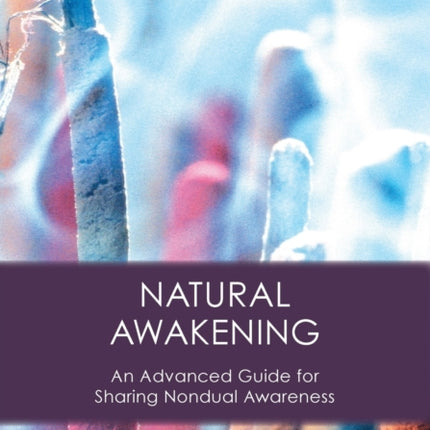 Natural Awakening: An Advanced Guide for Sharing Nondual Awareness