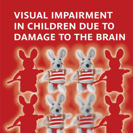 Visual Impairment in Children due to Damage to the Brain