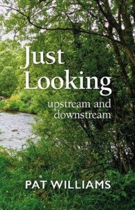 Just Looking: upstream and downstream