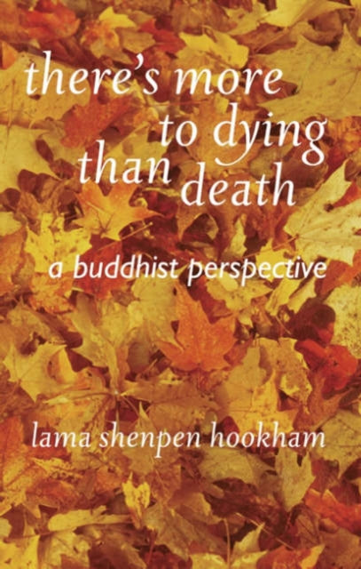 There's More to Dying Than Death: A Buddhist