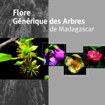 Flore Générique des Arbres de Madagascar