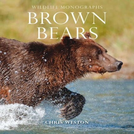 Brown Bears Wildlife Monographs