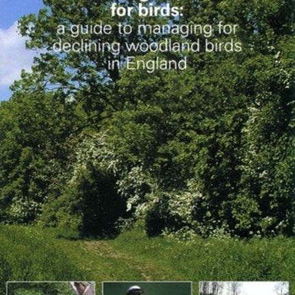 Woodland Management for Birds: A Guide to Managing for Declining Woodland Birds in England