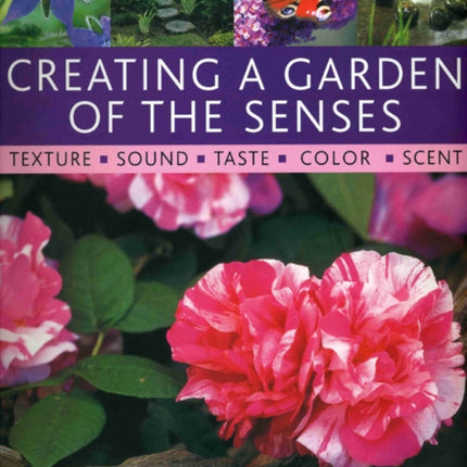 Creating a Garden of the Senses
