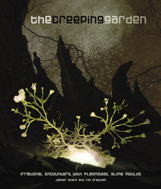 The Creeping Garden