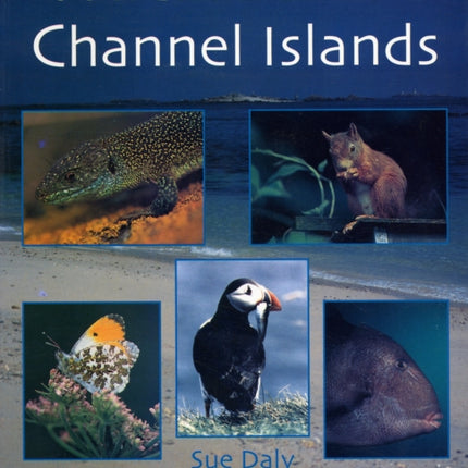 Wildlife of the Channel Islands
