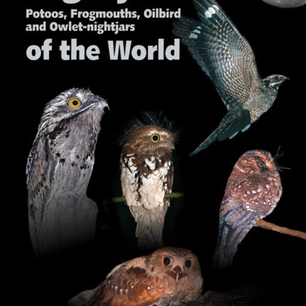 Nightjars, Potoos, Frogmouths, Oilbird, and Owlet–nightjars of the World