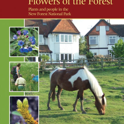 Flowers of the Forest – Plants and People in the New Forest National Park