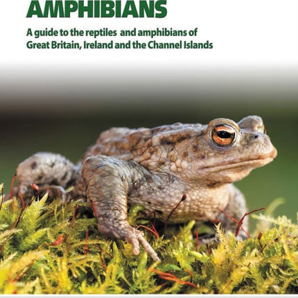 Britain`s Reptiles and Amphibians