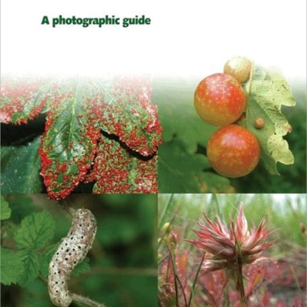 Britain`s Plant Galls – A Photographic Guide