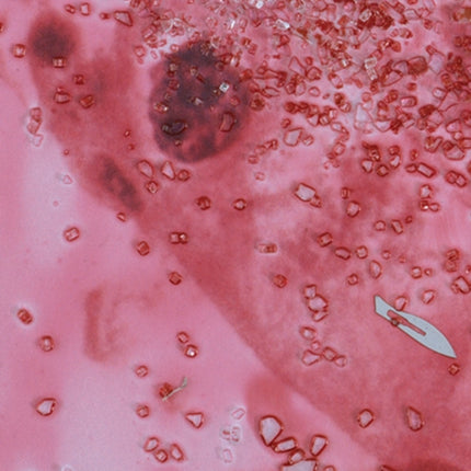 Beyond Belief Essay by Will Self