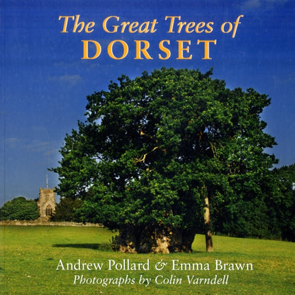 The Great Trees of Dorset