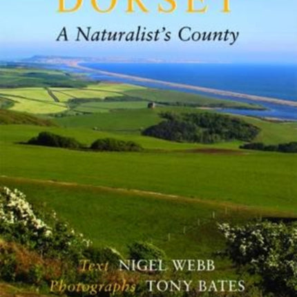 Dorset, a Naturalist's County