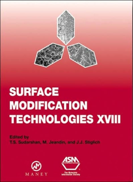 Surface Modification Technologies XVIII: Proceedings of the Eighteenth International Conference on Surface Modification Technologies Held in Dijon, France November 15-17, 2004: v. 18: Proceedings of the Eighteenth International Conference o