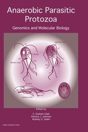 Anaerobic Parasitic Protozoa: Genomics and