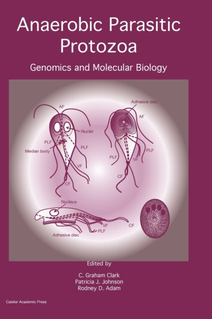 Anaerobic Parasitic Protozoa: Genomics and