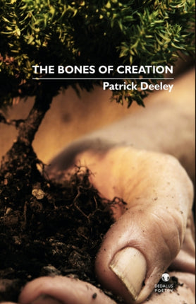 The Bones of Creation