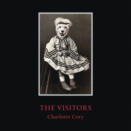The Visitors