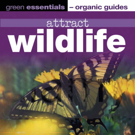 Attract Wildlife