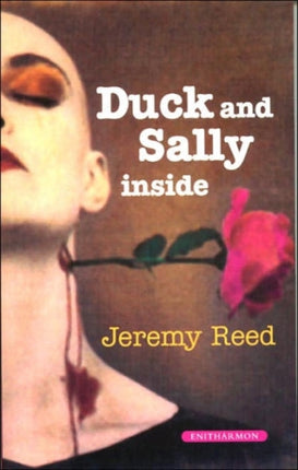 Duck and Sally on the Inside