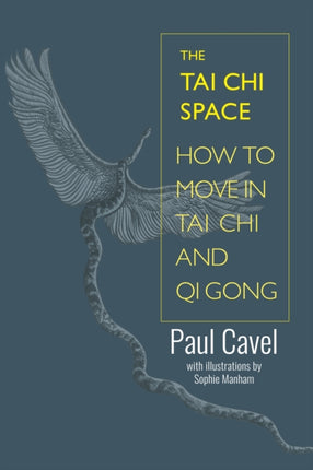 The Tai Chi Space: How to Move in Tai Chi and Qi