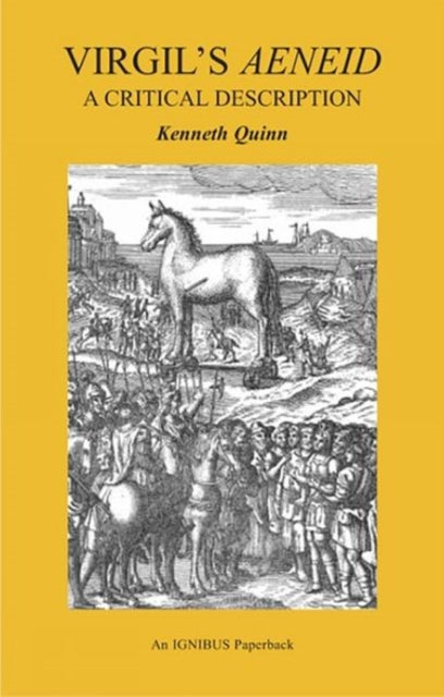 Virgil's Aeneid: A Critical Description