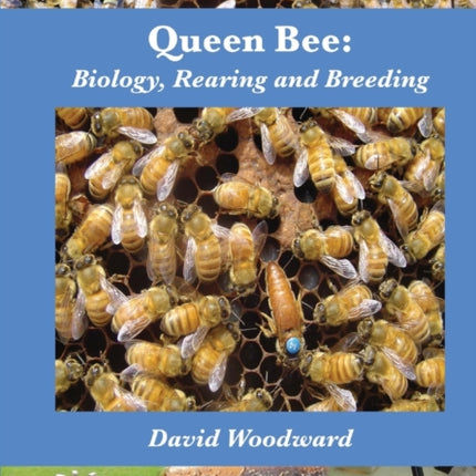 Queen Bee: Biology, Rearing and Breeding