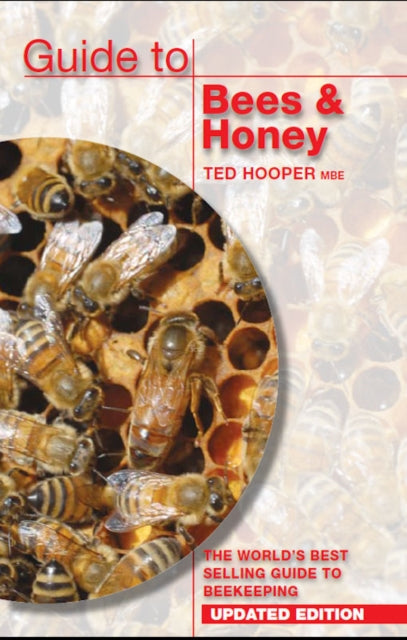 Guide to Bees  Honey