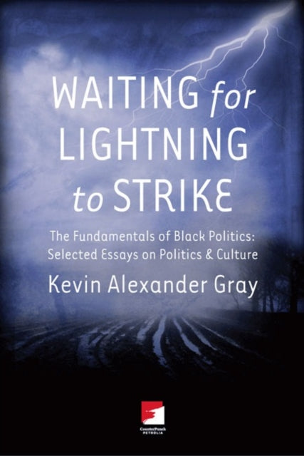 Waiting for Lighting to Strike The Fundamentals of Black Politics