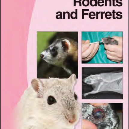 BSAVA Manual of Rodents and Ferrets