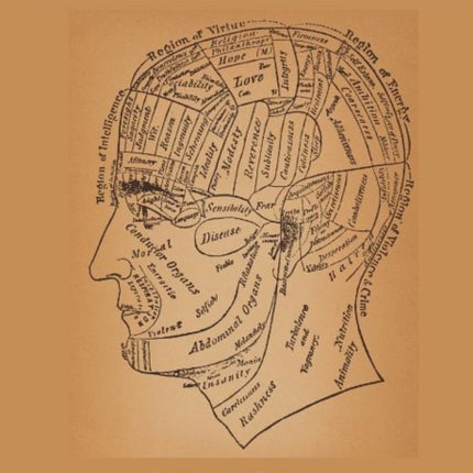 An Integrative Model of Psychotherapy