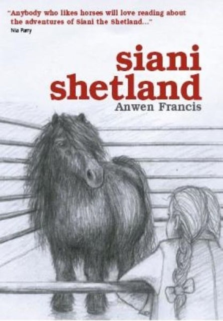 Shani The Shetland Pony